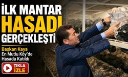 Başkan Kaya En Mutlu Köy’de İstiridye Mantarı Hasadına Katıldı