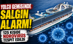 Yolcu Gemisinde Norovirüs Alarmı: 125 Kişi Etkilendi