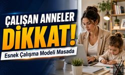 Doğum Sonrası Çalışan Anneler İçin Müjde: Anneler İçin 6 Aylık Esnek Mesai Önerisi Masada