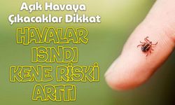 Açık Havaya Çıkacaklar Dikkat: Uzmanlardan Kene Isırıklarına Karşı Hayat Kurtaran Uyarılar