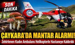 Çaykara’da Mantar Yiyen Kadın Rahatsızlandı: Ambulans Helikopterle Hastaneye Kaldırıldı