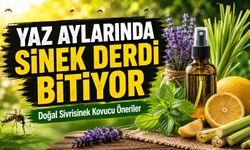 Yaz Aylarında Sinek Derdi Bitiyor: Doğal Sivrisinek Kovucu Öneriler