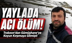 Yaylada Acı Ölüm: Trabzon’dan Gümüşhane'ye Koyun Kırpmaya Gitmişti