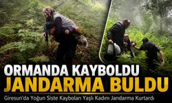 Giresun'da Yoğun Siste Kaybolan Yaşlı Kadını Jandarma Kurtardı