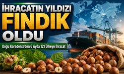Doğu Karadeniz’den 6 Ayda 121 Ülkeye İhracat ; İhracatın Yıldızı Fındık Oldu