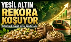 Fıstık İhracatında İlk 6 Ay Rakamları Açıklandı: Türkiye’nin Yeşil Altın İhracatı 60 Milyon Doları Aştı