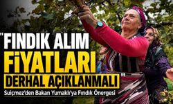 Suiçmez’den Bakan Yumaklı’ya Fındık Önergesi; “Fındık Alım Fiyatları Derhal Açıklanmalı”