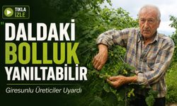 Giresunlu Üreticiler Uyardı: "Fındıkta Daldaki Bolluk Yanıltabilir"