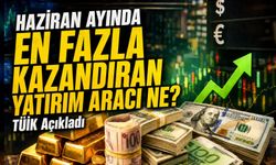 Haziran Ayında En Fazla Kazandıran Yatırım Aracı Belli Oldu; Tüik Açıkladı