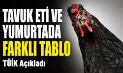 Tüik’in Mayıs Verileri Açıklandı: Tavuk Eti Ve Yumurtada Farklı Tablo