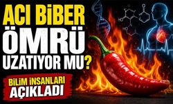 Acı Biber Ömrü Uzatıyor Mu? Çin Ve Abd Araştırmalarından Dikkat Çeken Sonuç