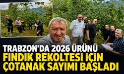 Trabzon’da 2026 Ürünü Fındık Rekoltesi İçin Çotanak Sayımı Başladı