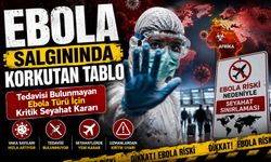 Ebola Salgınında Korkutan Tablo: Abd’den 21 Günlük Uçuş Kısıtlaması