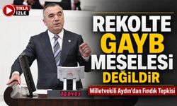 İyi Partili Yavuz Aydın’dan Ak Partili Milletvekiline Fındık Yanıtı: “rekolte Gayb Meselesi Değildir”