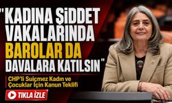 Sibel Suiçmez’den Kadına Şiddet Davaları İçin Kanun Teklifi; " Barolar Davalara Katılsın"