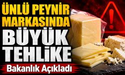 Bakanlık Açıkladı: Ünlü Peynir Markasının Bir Partisi Raflardan Çekildi