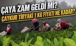 Çaya Zam Geldi Mi? Çaykur Tiryaki 1 KG Fiyatı Ne Kadar?
