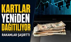 Döviz Piyasasında Kartlar Yeniden Dağıtılıyor: Rakamlar Şaşırttı