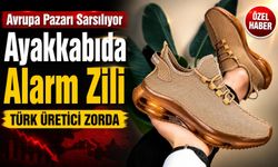 AB-Hindistan Anlaşması Türkiye İhracatında Yeni Bir Kriz Başlatabilir