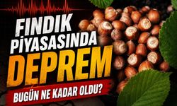 Fındık Piyasasında Deprem Etkisi: Bugün Ne Kadar Oldu?
