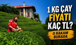 Çaya Zam mı Geldi? Marketlerde 1 kg Çay Fiyatı Kaç TL?