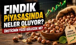 Fındık Piyasasında Neler Oluyor? Üreticinin Yüzü Gülecek Mi?