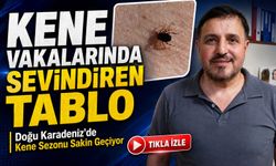 Doğu Karadeniz’de Kene Sezonu Sakin Geçiyor: Vakalar Azaldı