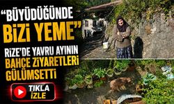 Rize’de Yavru Ayının Bahçe Ziyaretleri Gülümsetti; “Büyüdüğünde Bizi Yeme”