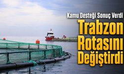 Trabzon Su Ürünleri İhracatında Büyük Değişim: Başarının Sırrı Açıklandı