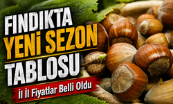 Kazancınızı Artırın: Fındık Fiyatları İle Doğru Zamanı Yakalayın