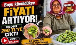 Boyu küçüldükçe fiyatı artıyor: Kilosu 250 TL’ye çıktı