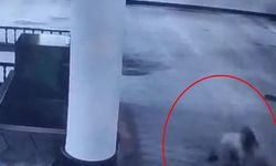 Camide Tehlikeli İddialaşma Ucuz Atlatıldı