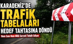 Karadeniz’de Trafik Tabelaları Hedef Tahtasına Döndü; Hem Canı Hem Milli Serveti Tehdit Ediyor