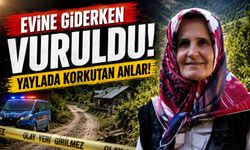 Maçka’da Yaylada Yürüyen Kadına Yorgun Mermi İsabet Etti: Hastaneye Kaldırıldı