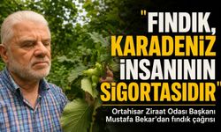 Ortahisar Ziraat Odası Başkanı Mustafa Bekar'dan Fındık Çağrısı; "Fındık, Karadeniz İnsanının Sigortasıdır"