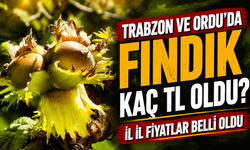 Fındık Fiyatları: Üretici Karar Vermeden Önce Bu Listeye Baksın