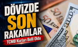 DÖVİZ PİYASALARINDA SON DURUM: DOLAR VE EURO YÜKSELİŞİNİ SÜRDÜRÜYOR