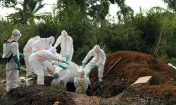 Ebola salgını hızla büyüyor: 5 bin 794 vaka ve 2 bin 786 ölüm bildirildi