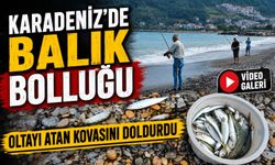 Karadeniz’de balık bolluğu başladı: Oltasını atan kovasını doldurdu