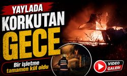 Pokut Yaylası’nda gece yarısı yangın: İşletme küle döndü