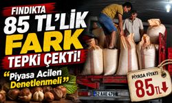 Fındıkta 85 TL’lik Fark Tepki Çekti: “Piyasa Acilen Denetlenmeli”