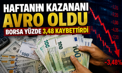 Bu Hafta Hangi Yatırım Aracı Kazandırdı? Zirvede Avro Var
