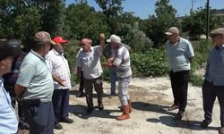 Balık Ölümlerine Neden Olan Tesise 839 Bin TL Ceza
