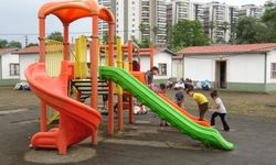 Fındık Hasadı Başlıyor Ama İşçi Yoğunluğu Beklenen Seviyede Değil