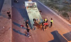 Acılar içinde kıvranan yaralı ata 4 saatlik eziyet verici kurtarma çalışması