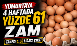 Yumurta fiyatında 4 haftalık büyük değişim: Artış yüzde 61’i buldu