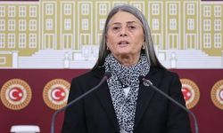 Sibel Suiçmez’den Çerçeve Yasa Kararı: “Hayır Oyu Vereceğim”