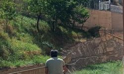 Haşereyle mücadele çalışmalarını sürdürüyor