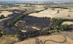 Erzincan'daki yangının bilançosu drone ile görüntülendi