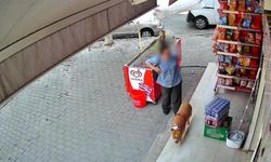 Yine Bir Pitbull Faciası: 5 çocuk annesi kadının parmağı koptu